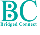 Bridged Logo